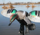 Mojo Elite Series Green Wing Teal Spinning Wing Duck Decoy Remote Ready 3p