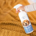 Dog Stain And Odor Remover   carpet Stain Remover And Pet Odor Eliminator 27 05 Fl