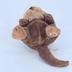 Webkinz Sea Otter Plush Hm359 Ganz Nwt Sealed Code Retired