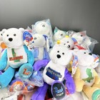 Limited Treasures Coin Bear Collection Lot 50 State Plush Bears Nearly Complete