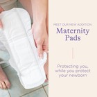 Lansinoh Postpartum Pads  40 Count  Maxi  Heavy Absorbency  2 Sizes