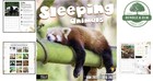 Sleeping Animals 2026 Wall Calendar Cute Animal Decor 12x24 Open Yearly