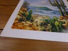 Original Bill Ogden Surf Poster Surfing Surfer Art Baja Mexico Desert Cactus 90s