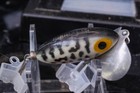 Arbogast Jitterbug Mini White Coachdog Plastic Fishing Lure