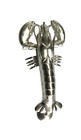 Gorgeous Lobster Crab Prawn Shape Door Knocker  8  Solid Heavy Brass  Banger