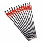 12pcs 20-inch Carbon Crossbow Bolts Arrows Archery Hunting W  12pcs Arrowhead