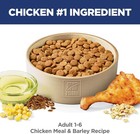 Hill s Science Diet Adult Dry Dog Food - Chicken   Barley 35lb