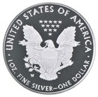 2019-w American Silver Eagle Proof Coin 1 Oz