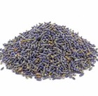 Premium Ultra Blue Grade Fragrant Dried Lavender Buds - 2 Pounds