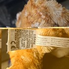 Webkinz Ginger Cat Plush Striped Cat Ganz Hm431 No Code