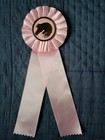 5th Place Pink Flowing Mane Horse Show Ribbons Awards Equestrian Events