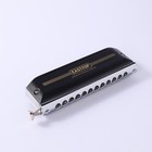 Easttop 12holes Performance Chromatic Harmonica Mouth Organ Party Gift Us Stock 