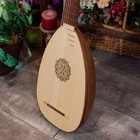 Roosebeck Deluxe 8-course Lute Sheesham - New