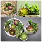 Artificial Succulents Plants Unpotted -14 Pack    Large Fake Succulent Plant In   