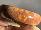 60mm Rare Natural Silicified Coral Fossil Bangle  purple Red Yellow