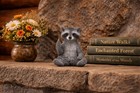 Jfsm Rude Raccoon Figurine - Flipping The Bird giving The Middle Finger Statue