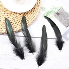 Sogugom Black Rooster Tail Feathers - 200 Pcs 5-7 Inch Craft Feathers Bulk