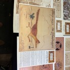 Lot Of 9 Vintage Doodle Page Of The Month Leather Carving Patterns 17   x11    Nice 