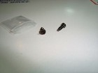 Ring Video Doorbell 2 3 Spotlight Security Screws Torx T15 Pin Screw Parts Only 