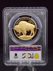 United States 2009-w  50 Proof Gold American Buffalo Slabbed Pcgs Pr 70 Dcam