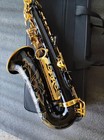 Yas-82z Eb Professional Alto Saxophone Gold Lacquer Sax With Case Mouthpiece