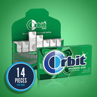Spearmint Sugar-free Chewing Gum  14 Pieces  12-pack