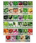 Gardeners Basics Survival Vegetable Seeds Garden Kit Over 16 000 Brown