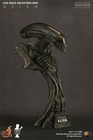 Hot Toys 1 4 Htb05 Alien Bust Figure W original Box