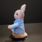Beatrix Potter 6  Bunny Peter Rabbit Plush Stuffed Frederick Warne Penguin Books