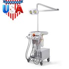 Dental Portable Delivery Unit System Air Compressor Cart  w  Surgical Lamp Light