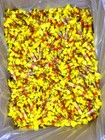 Mary Jane Candy Bulk Chewy 8oz 12oz 1lb 1 5lb 3lb 5lb Peanut Butter Flavor Taffy