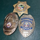 Lot Of  3  Vintage Security Guard Officer Badges Pins