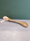 Real African Spoonbill Bird Skull Taxidermy Sk1