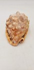 Beautiful Medium Size Conch Sea Shell