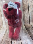 1999 Salvino s Bammers Wayne Gretzky Team Canada Plush Bear