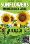 Giant Sunflower Seeds For Planting - Heirloom   Non-gmo - High Germination Seeds