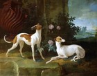 Handmade Antique Oil Painting Animal Portrait Hunting Dog On Canvas 30 x40 