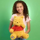 Disney Winnie The Pooh 100th Anniversary Deluxe Plush 14 25-inch Plush Stuffed