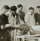 Antique Medical Dissection Photo - Post Mortem Cadaver Surgical Autopsy Brain