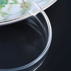 Fish Tank Shrimp Feeder Cone Worm Feeder Shrimp Feeding Tray Glass Feeder Bowl