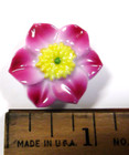 Rare Japanese Porcelain Button Pink Clematis Yuzan Kiln Arita 1-1 8 Inch
