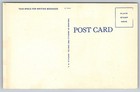 Black Americana Postcard By N  Brooks  grand-pap Embarrassed 