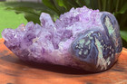 Massive Museum Grade Amethyst Geode Specimen 3 49kg Serra Do Sol Brazil