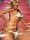 Vintage 70s Loni Anderson Bikini Poster 21x31 Swimsuit