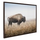  Sylvie American Bison Buffalo In Prairie Grass Framed 31 5l  X 42w  Brown