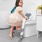 Potty Training Seat With Step Stool Ladderpotty Training Toilet Kids Boys Girls