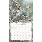 Lang Songbirds 2026 Wall Calendar By Susan Bourdet  13 4   X 12  