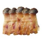 Usa Dried Whole Conch                             250g Premium Grade             