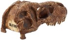 Exo Terra T-rex Skull Terrarium Decor Reptile Hide Ornament