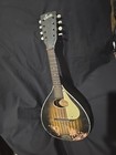 Vintage Stella Mandolin